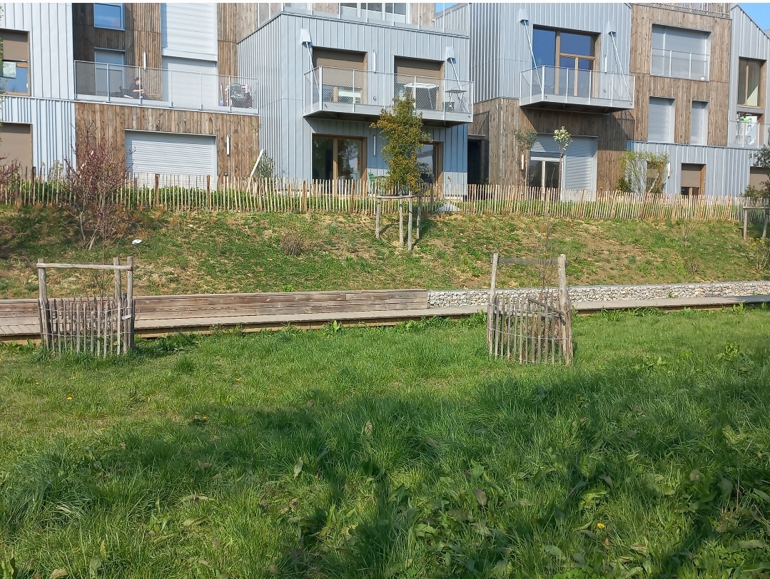 Remplacer les arbres morts au sein de l'écoquartier par des arbres fruitiers 