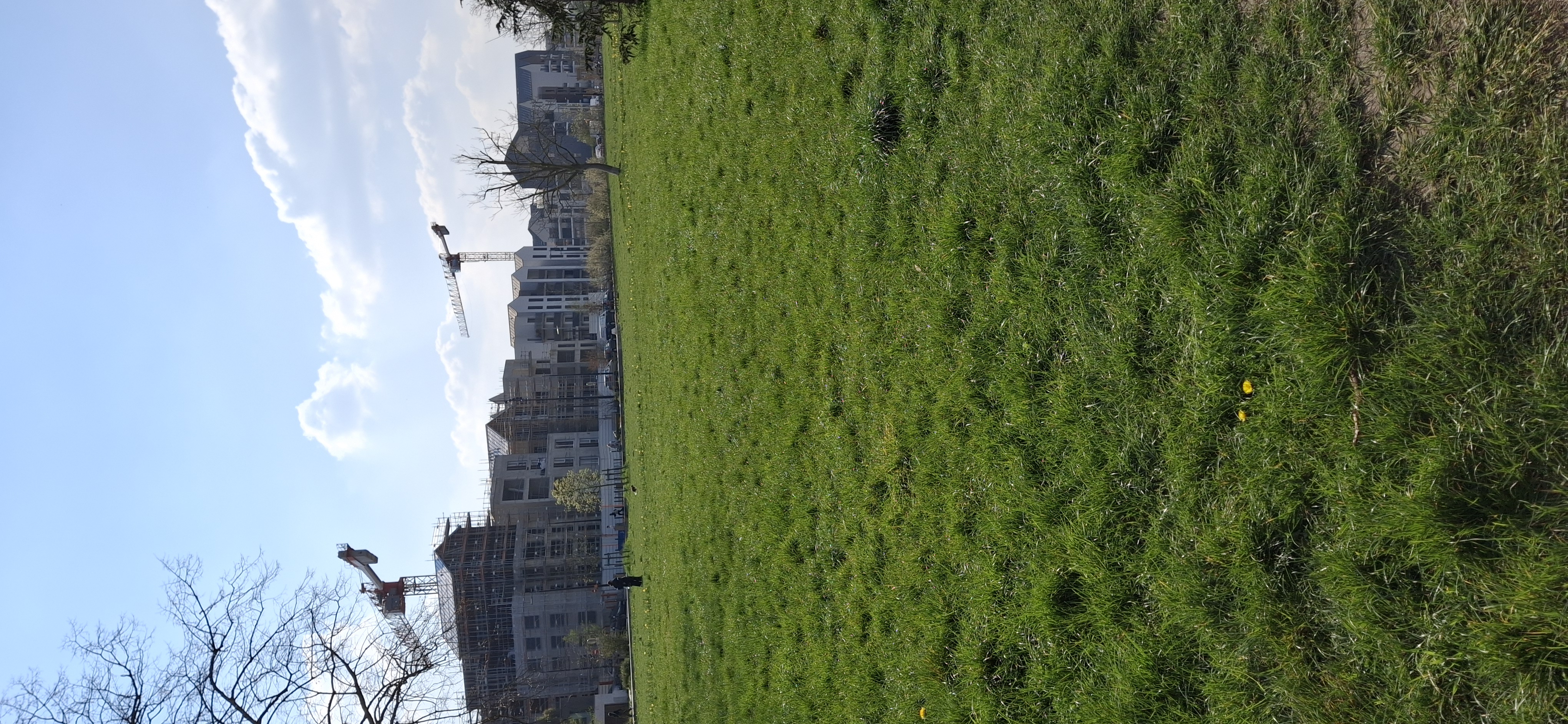 Sac à  déjections  de chiens 