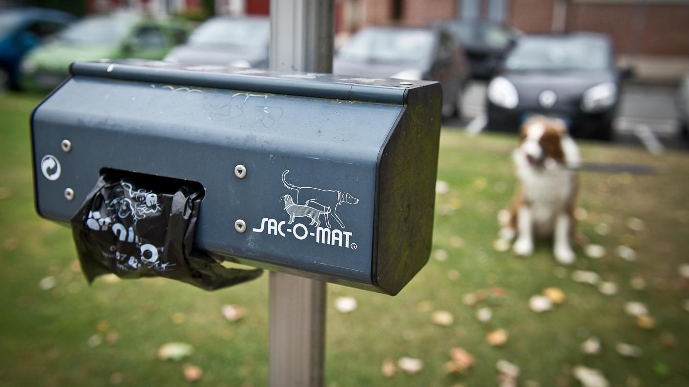 Installation de distributeurs de sacs pour déjections canines