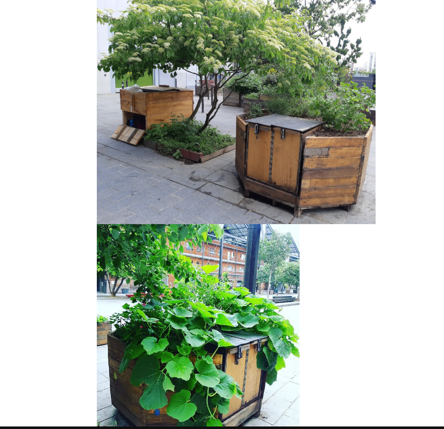 Installation de compost urbain