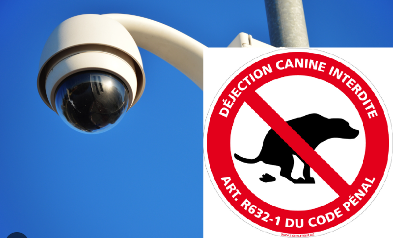 Vidéoverbalisation des incivilités liées aux déjections canines