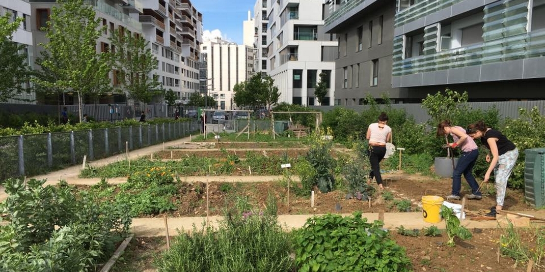 Jardin partagé au Pavé-Neuf