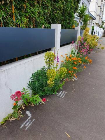 Végétaliser les trottoirs