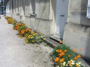 trottoirs.fleuris.jpg