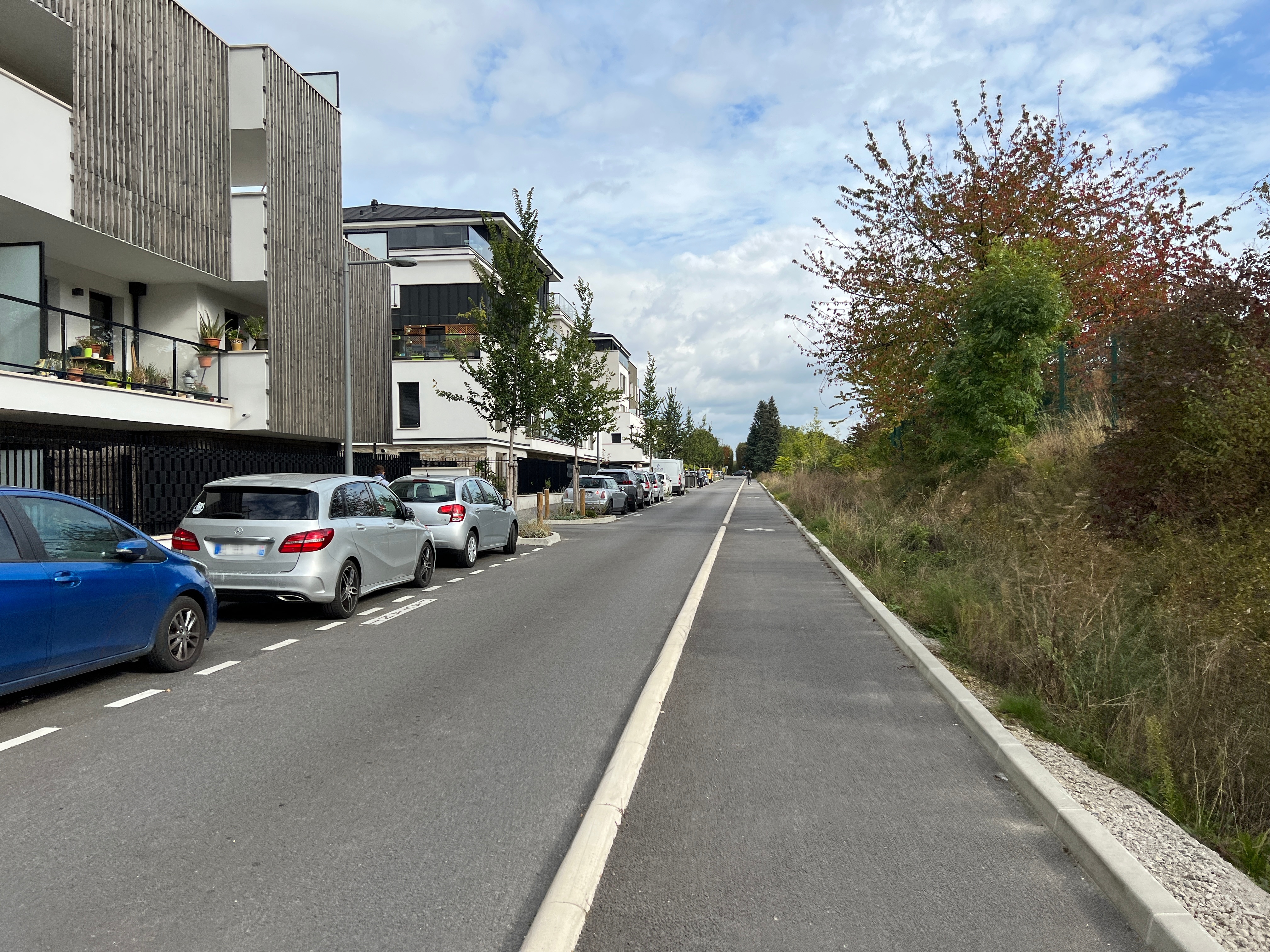 Plantation d’arbres et massifs fleuris et pose de bancs sur la rue du Petit Orme (côté chemin de fer)