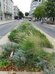 Pour une mise en beauté de notre entrée Est (avenue Emile Cossonneau)