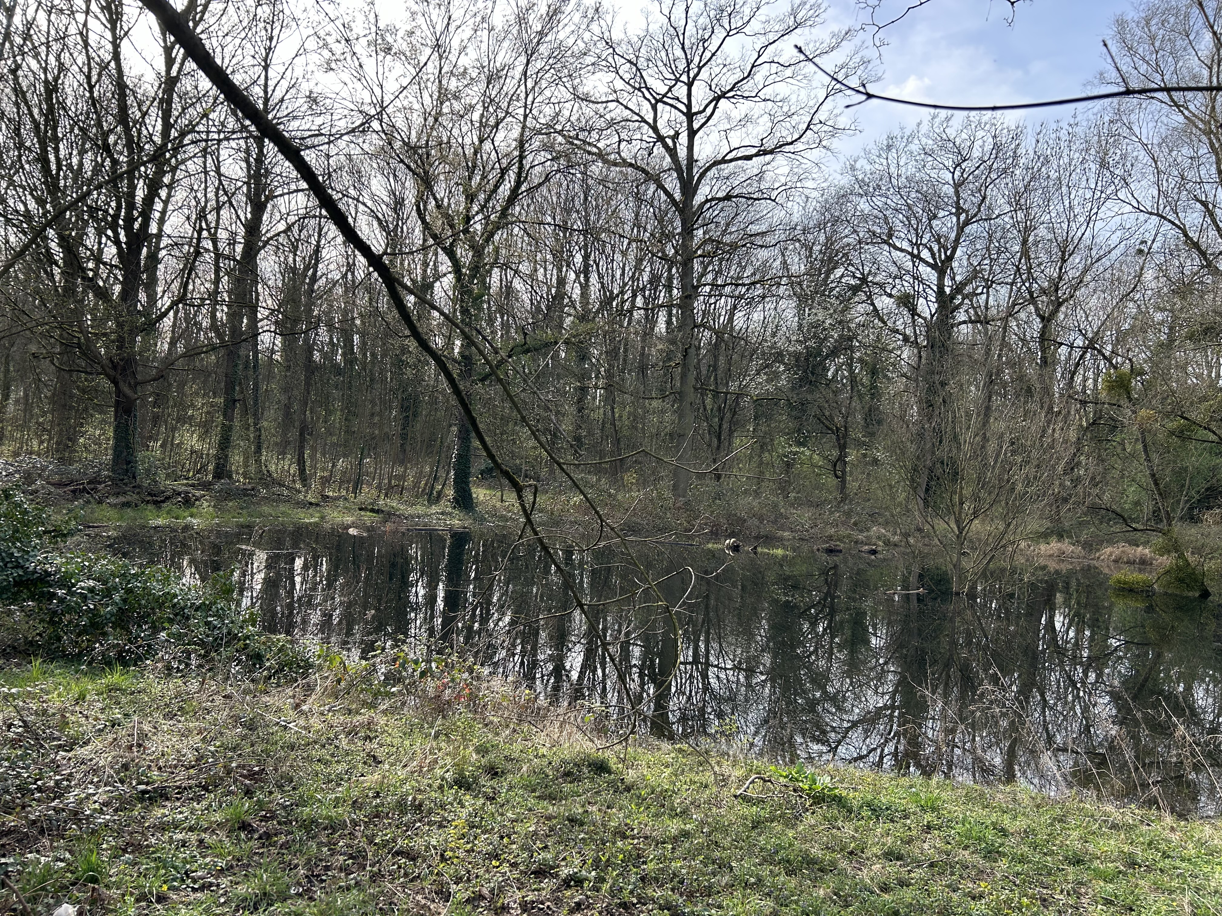 Mare aux batraciens pour une nature proche de chez nous