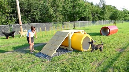 les-premiers-chiens-du-parc-canin-de-st-georges-tout-excites-par-leur-espace-de-jeu-620x348.jpg